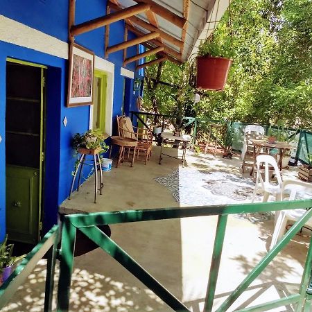 Villa Rosa Residencia De Artistas Tigre Kültér fotó